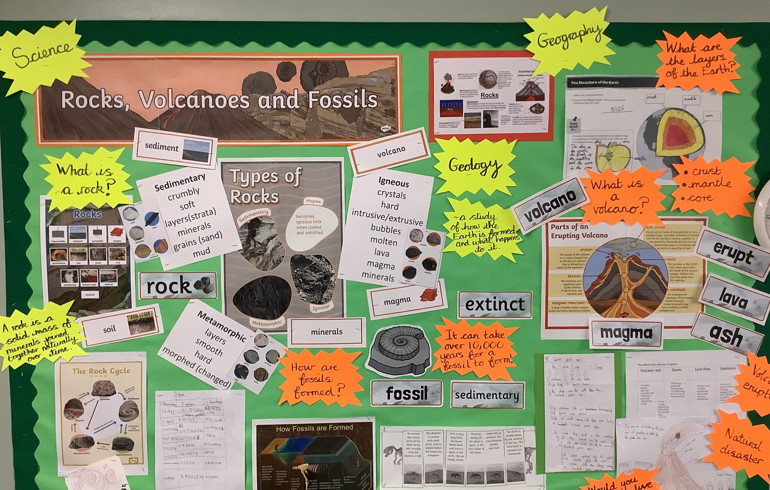 Year 3 learn about fossils